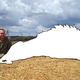 Illustration for article titled Why Does This World-Famous Conservationist Keep Shooting Animals?